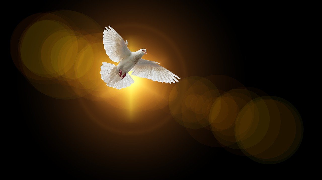 The Holy Spirit will make you succeed in Life